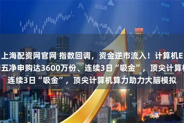 上海配资网官网 指数回调，资金逆市流入！计算机ETF（159998）上周五净申购达3600万份、连续3日“吸金”，顶尖计算机算力助力大脑模拟